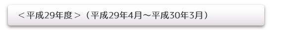 <平成29年度>(平成29年4月~平成30年3月)